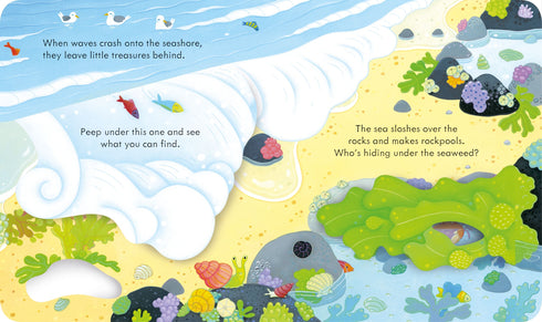 Peep Inside the Seashore 翻翻書